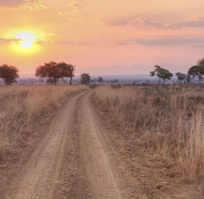 Mikumi-National-Park-Tanzania-Safari-4