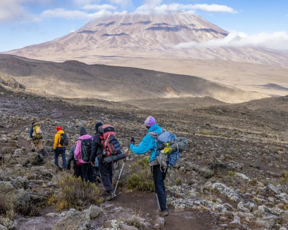 Mount Kilimanjaro Northern Circuit Route 1
