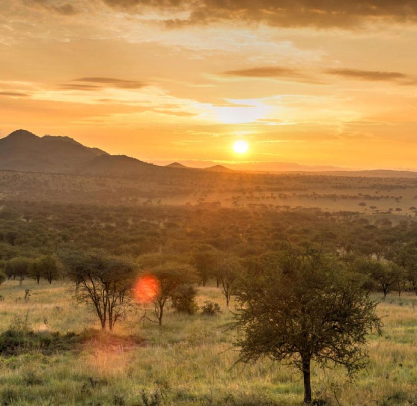 Serengeti-National-Park-Tanzania-safari-Destination-2