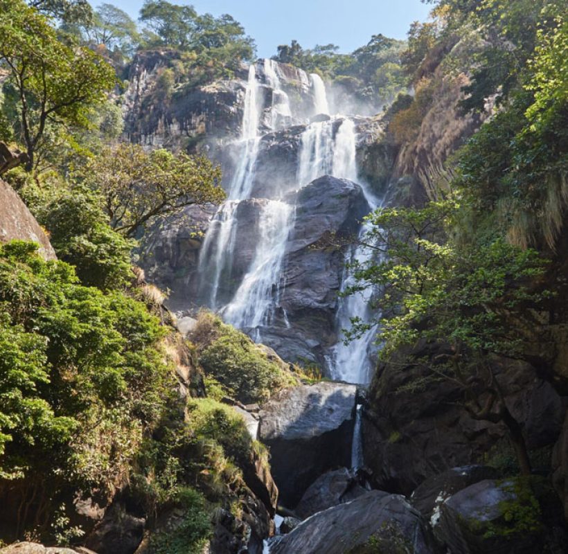 Udzungwa-Mountains-National-Park-Tanzania-Safari-1